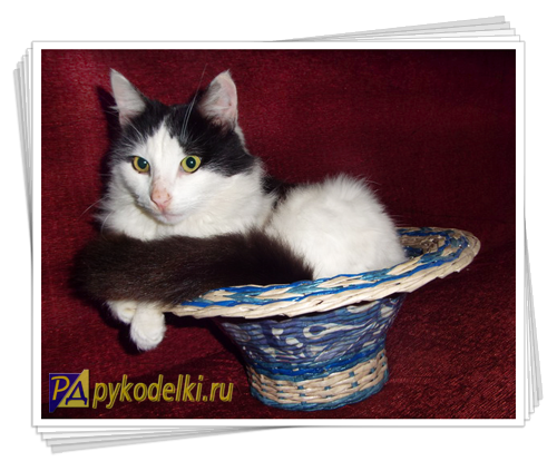 интересные фотографии, фотографии с котом, фотографии корзинок, фото корзинок, черно-белый кот